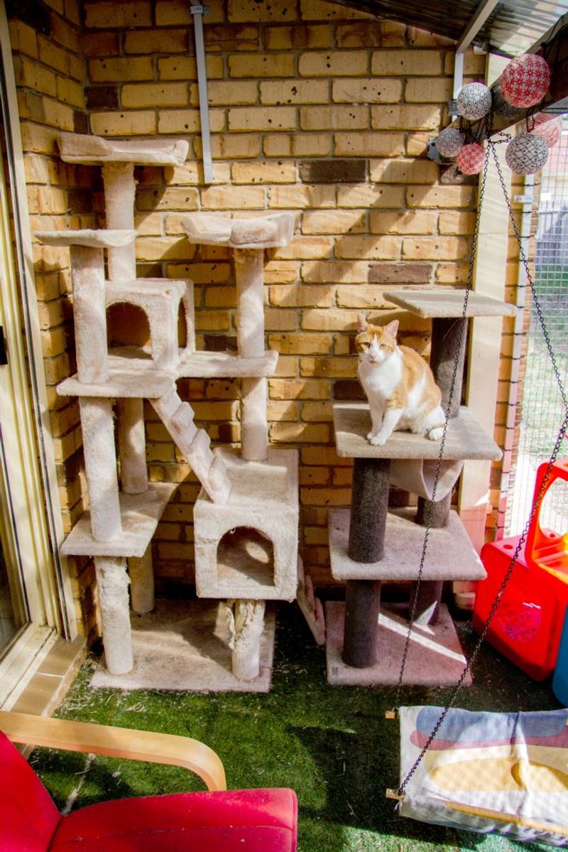 Lack of Hiding Spots