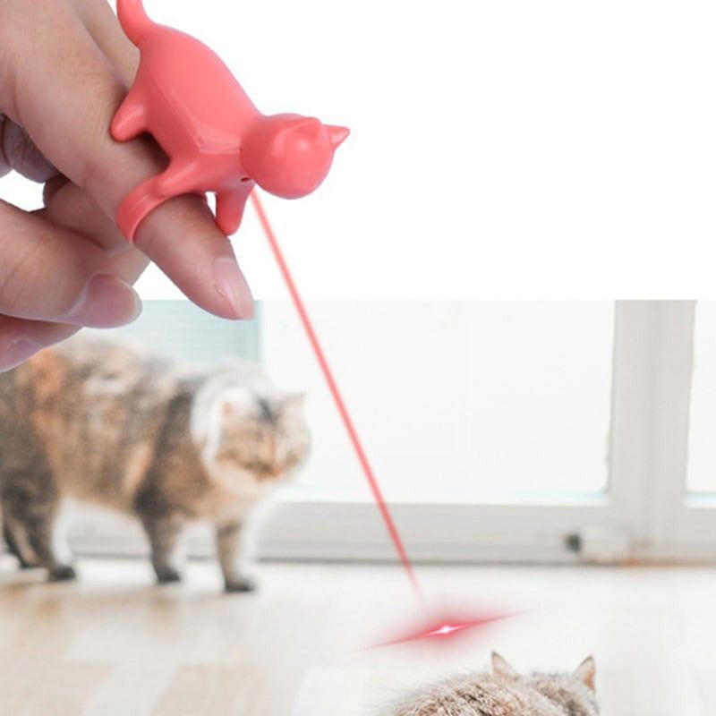 Laser Pointer Hide-and-Seek