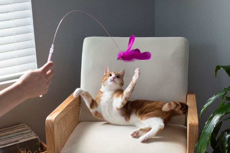 Engage With Toys