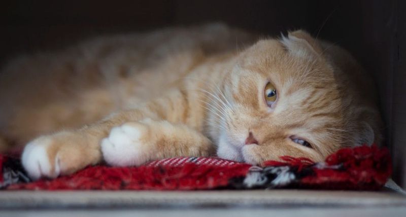 Lethargy and Depression