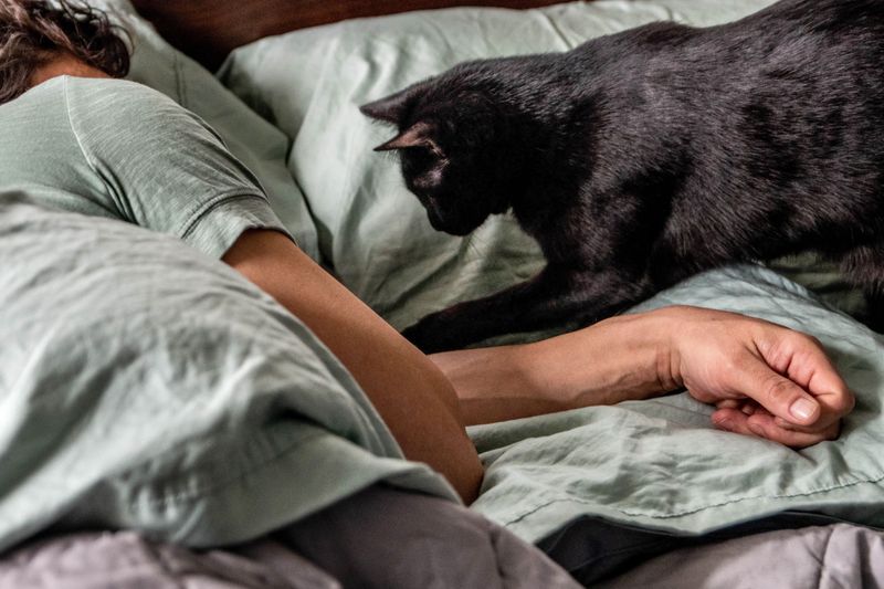 Impact on Sleep and Social Life