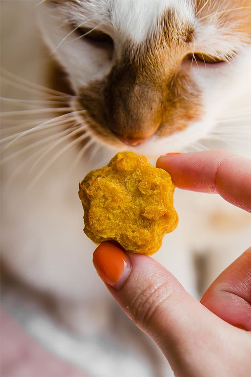 Limit Treat Consumption