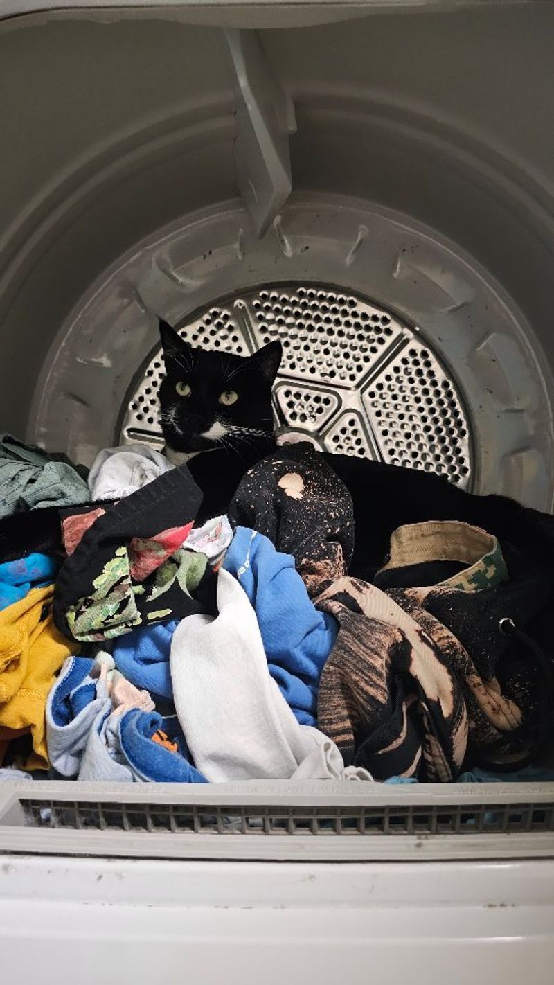 Laundry Warmth Takeover