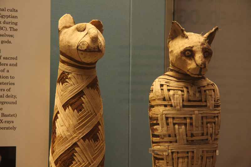 Mummified and Buried With Honors