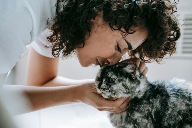 Owner Bias (AKA Cat Love)