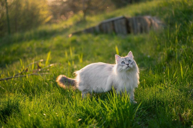 Outdoor Exposure