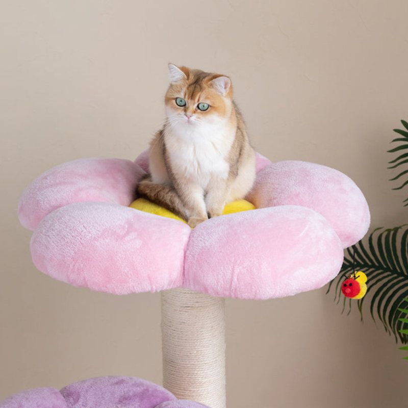 Bring the Play: Toys and Dangly Things