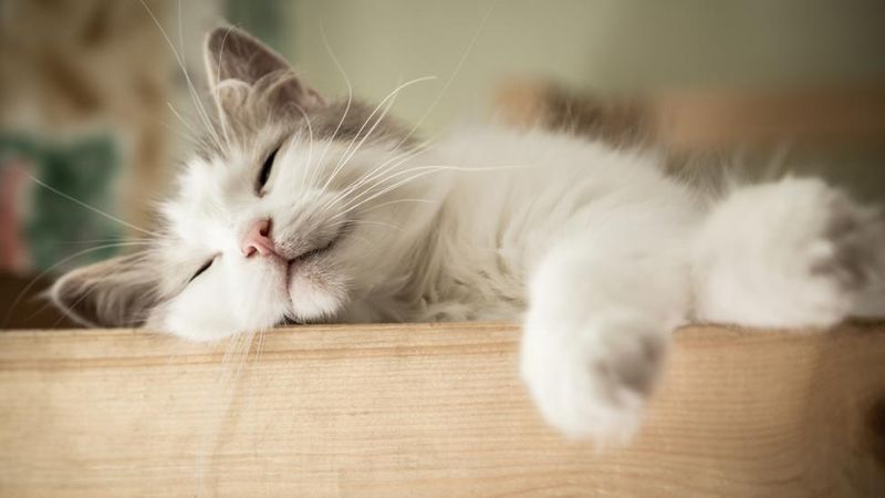 Maintain a Calm Environment