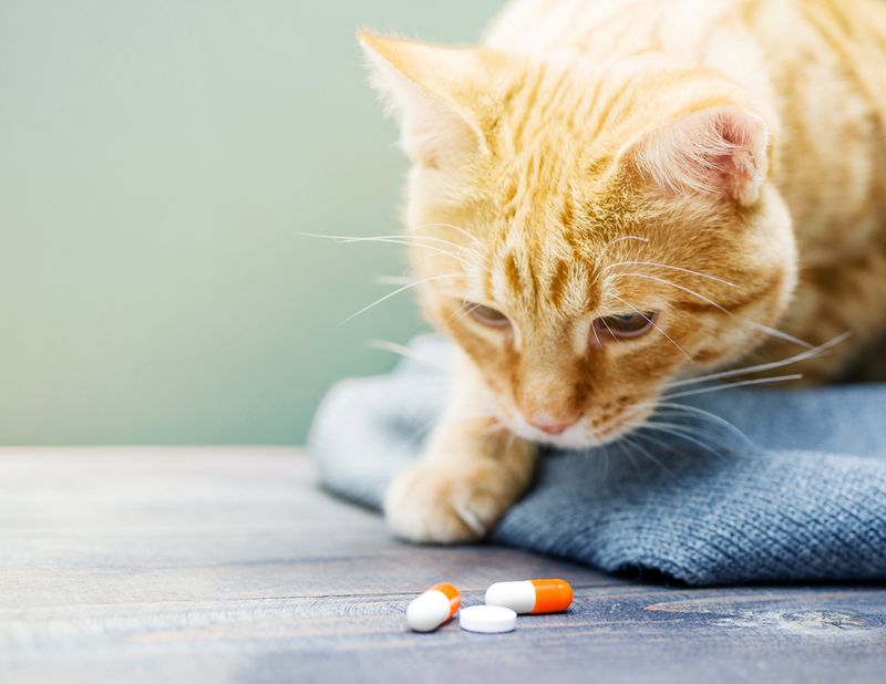 Medications