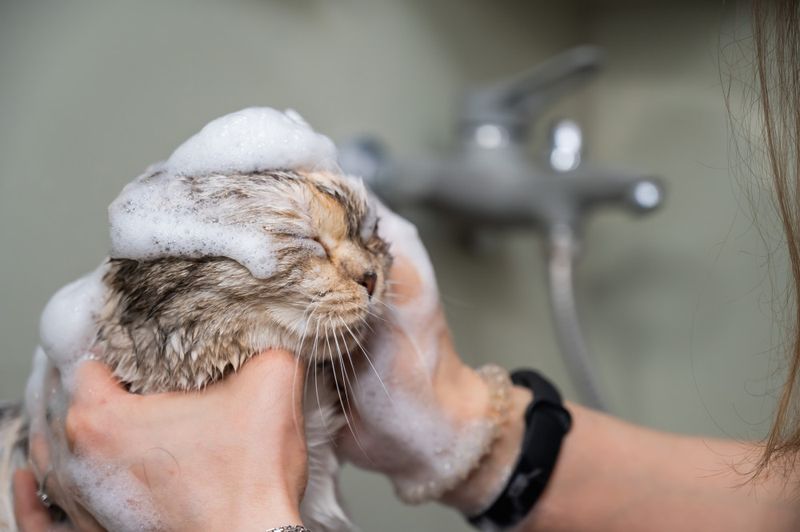 Minimal Shampoo Usage