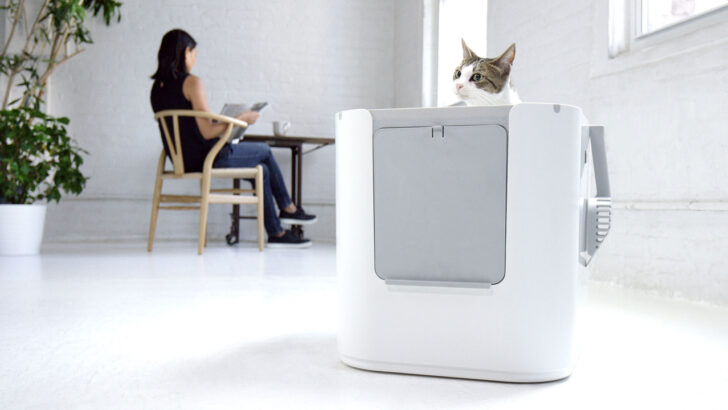 Top 7 Travel-Friendly Litter Boxes for On-the-Go Cat Parents