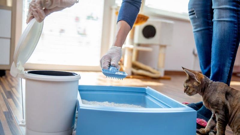 Maintain a Safe and Clean Environment