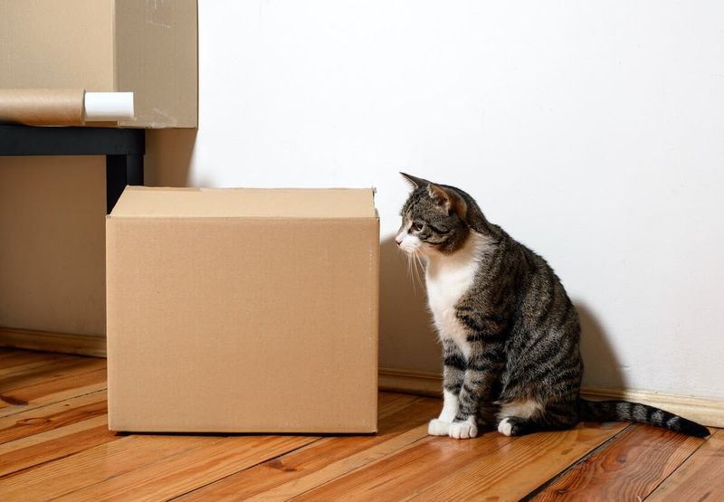 Moving Furniture