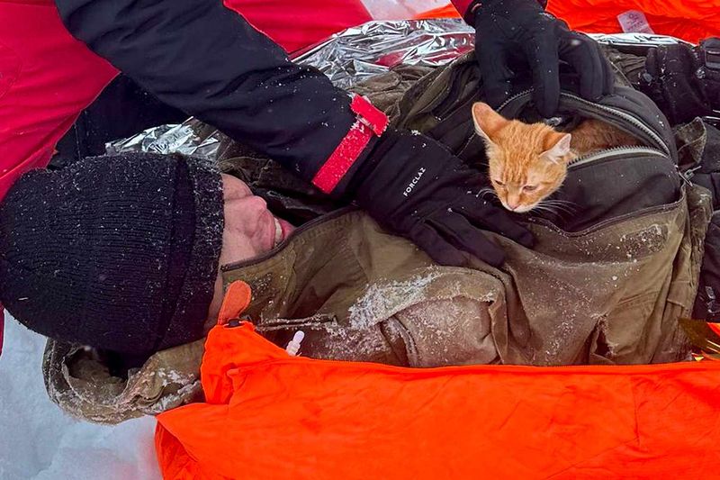 Peach: The Life-Saving Kitten