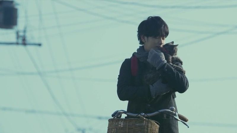 If Cats Disappeared from the World (2016)