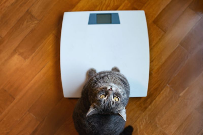 Not Monitoring Weight
