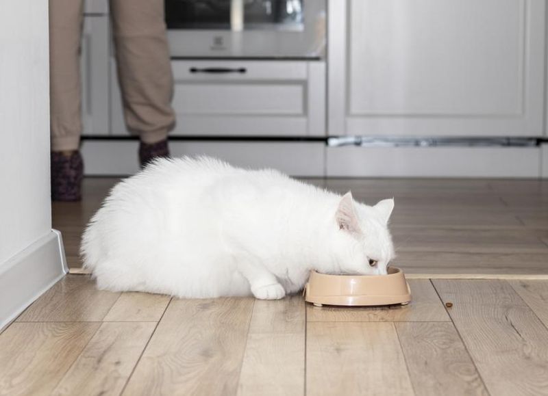 Weight Gain Doesn’t Always Mean Growth