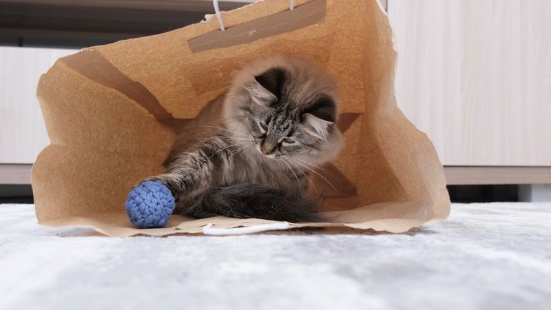 Loss of Interest in Toys or Play