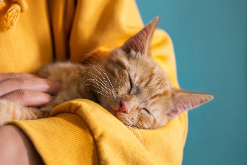 Offer Extra Cuddles