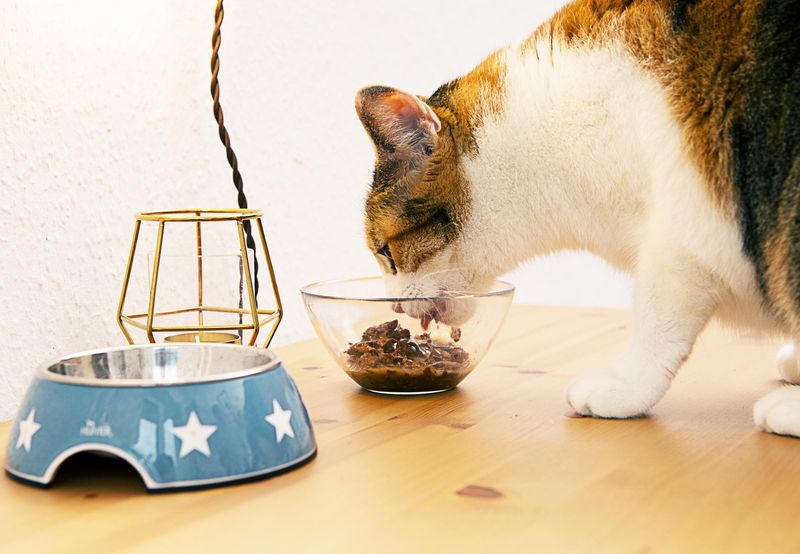 Offer Frequent, Small Meals