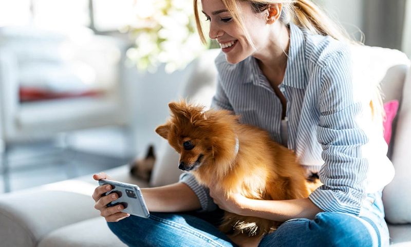 Monitor Cat Behavior and Health