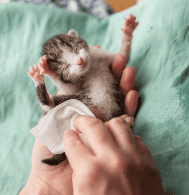Help Them Eliminate Waste