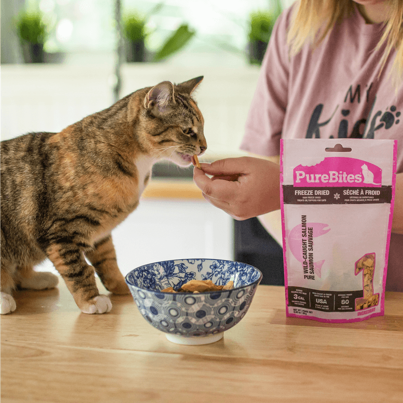 Offer Tasty Treats