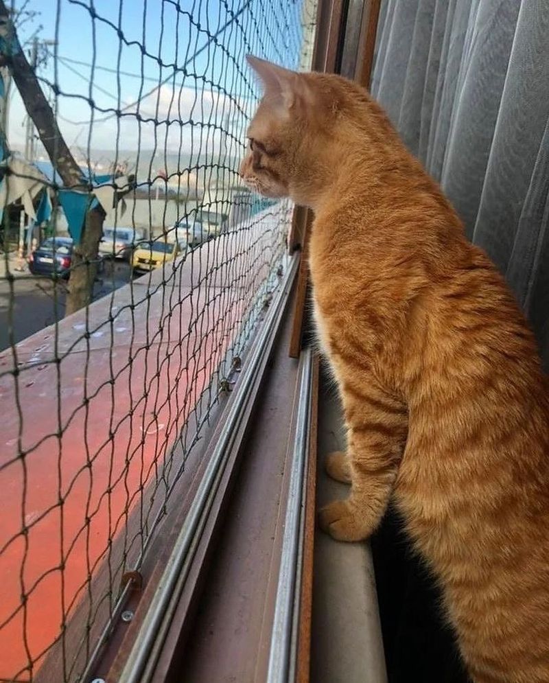 Open Windows Without Screens