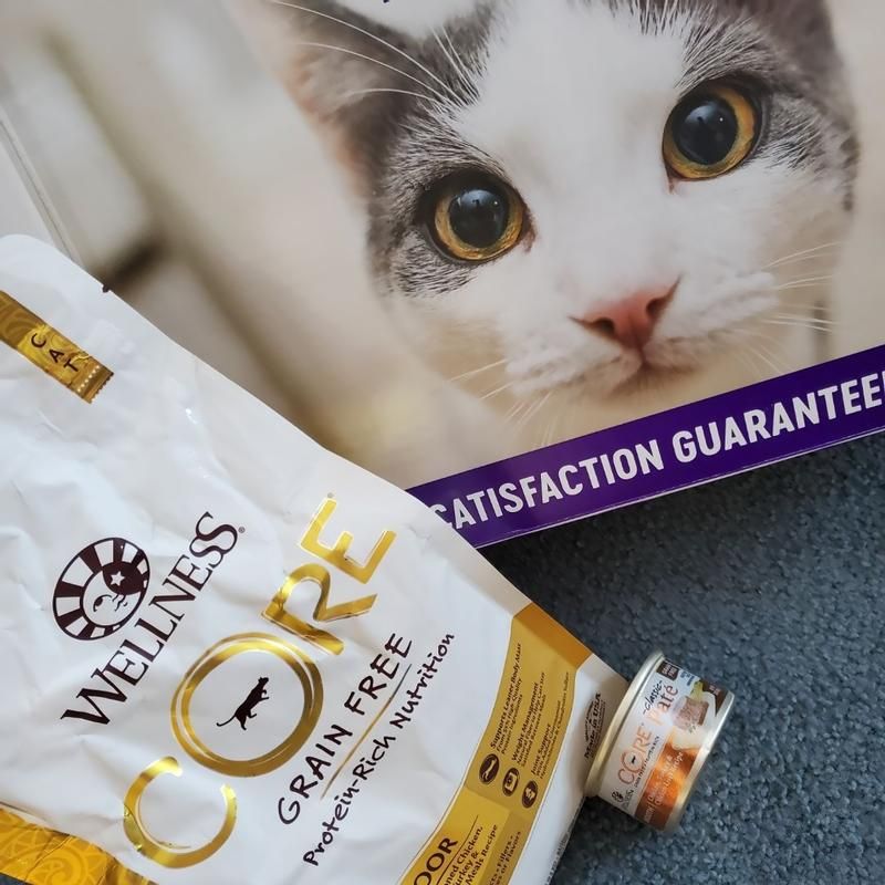 Wellness CORE Grain-Free Natural Dry Cat Food