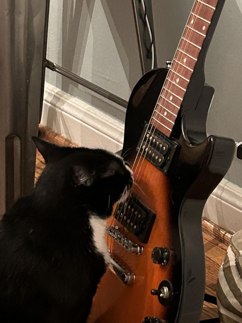 Paw McCartney