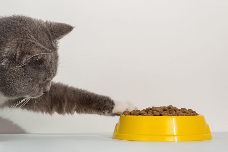 Diet and Cleanliness