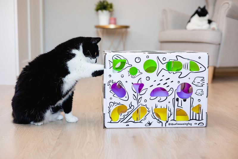 Add Interactive Toys and Enrichment