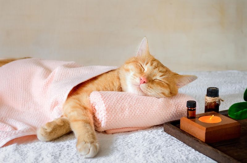 Arrange a Special Spa Day