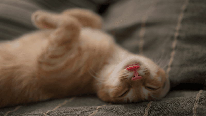 Create a Quiet Zone for Downtime