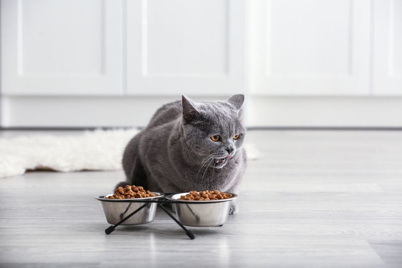 Bowl Discomfort