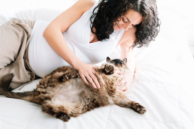 Pregnancy in Humans