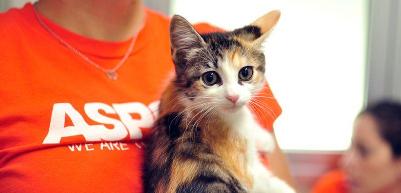 Prevention of Cruelty to Animals Month – ASPCA