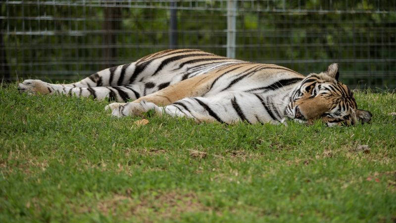 Support Ethical Wildlife Tourism