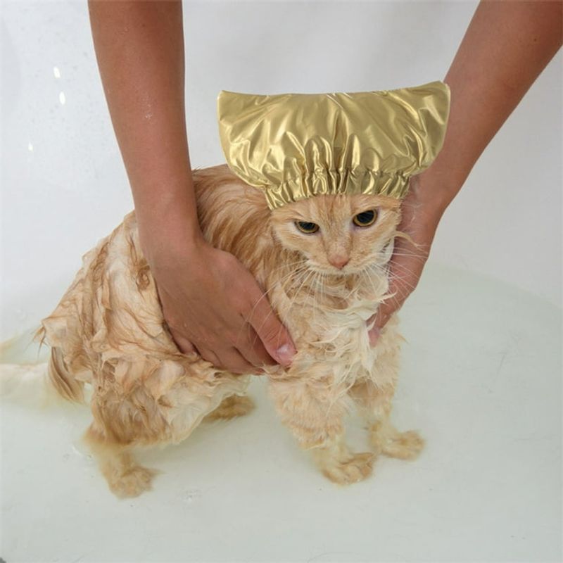 Protect the Ears