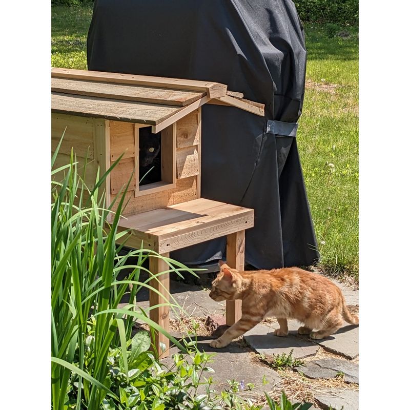 Provide Elevated Resting Spots