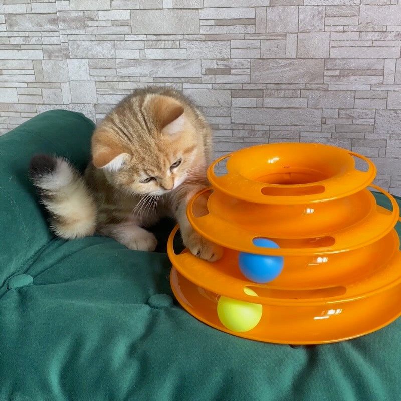 Provide Interactive Toys