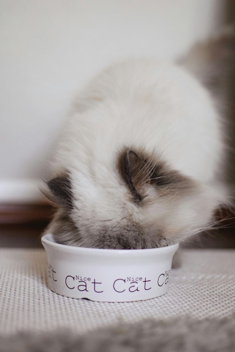 Clean the Bowl—And Try a New One