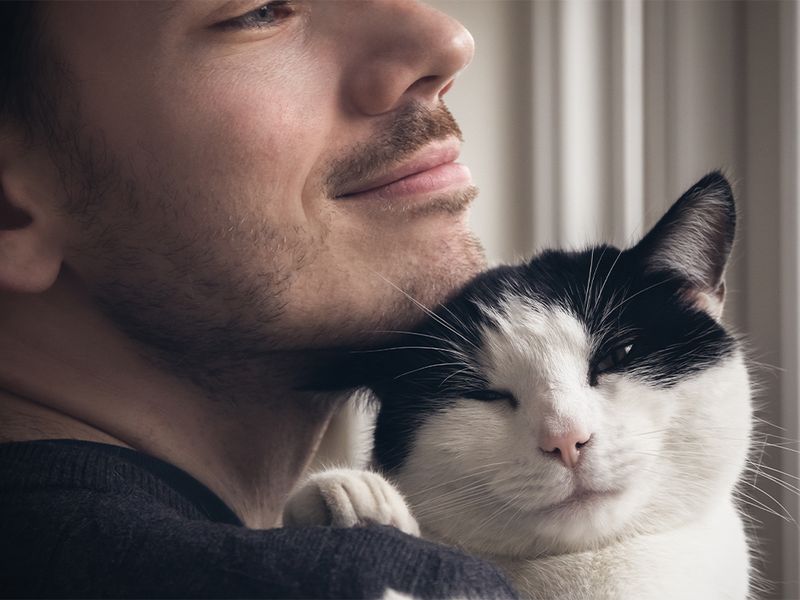 Providing Love and Affection