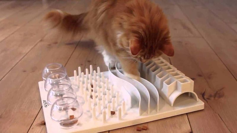 Puzzle Feeders