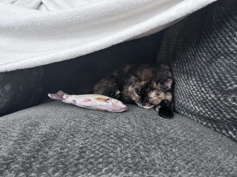 Quiet Cozy Corners
