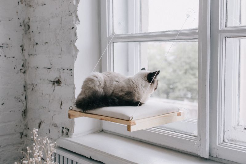 Height and Perch Comfort
