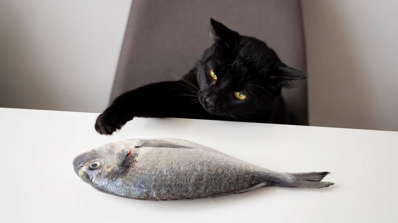 Raw Fish