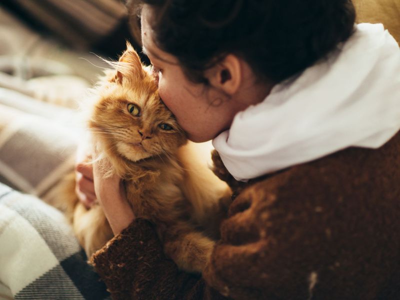 Nonverbal Emotional Connection