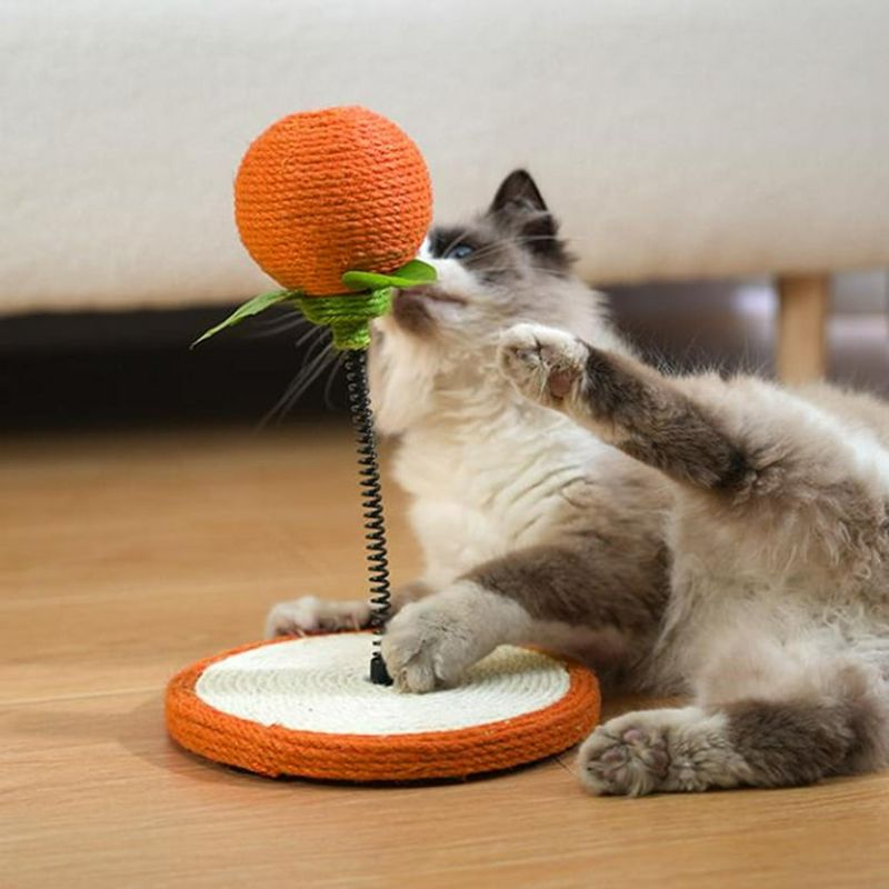 Regular Exercise