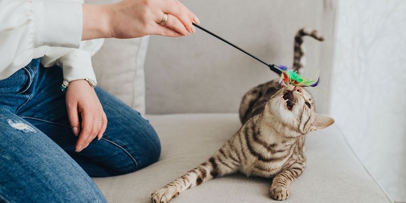 Regular Playtime